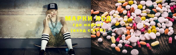 гидропоника Осинники