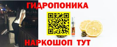 Альфа ПВП Пушкино