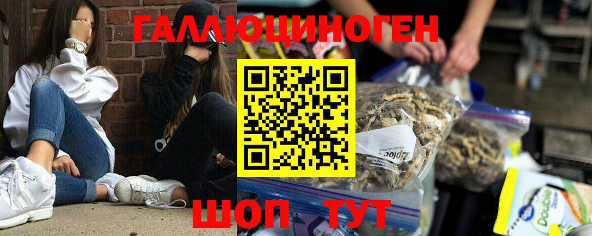Галлюциногенные грибы Psilocybine cubensis Тында